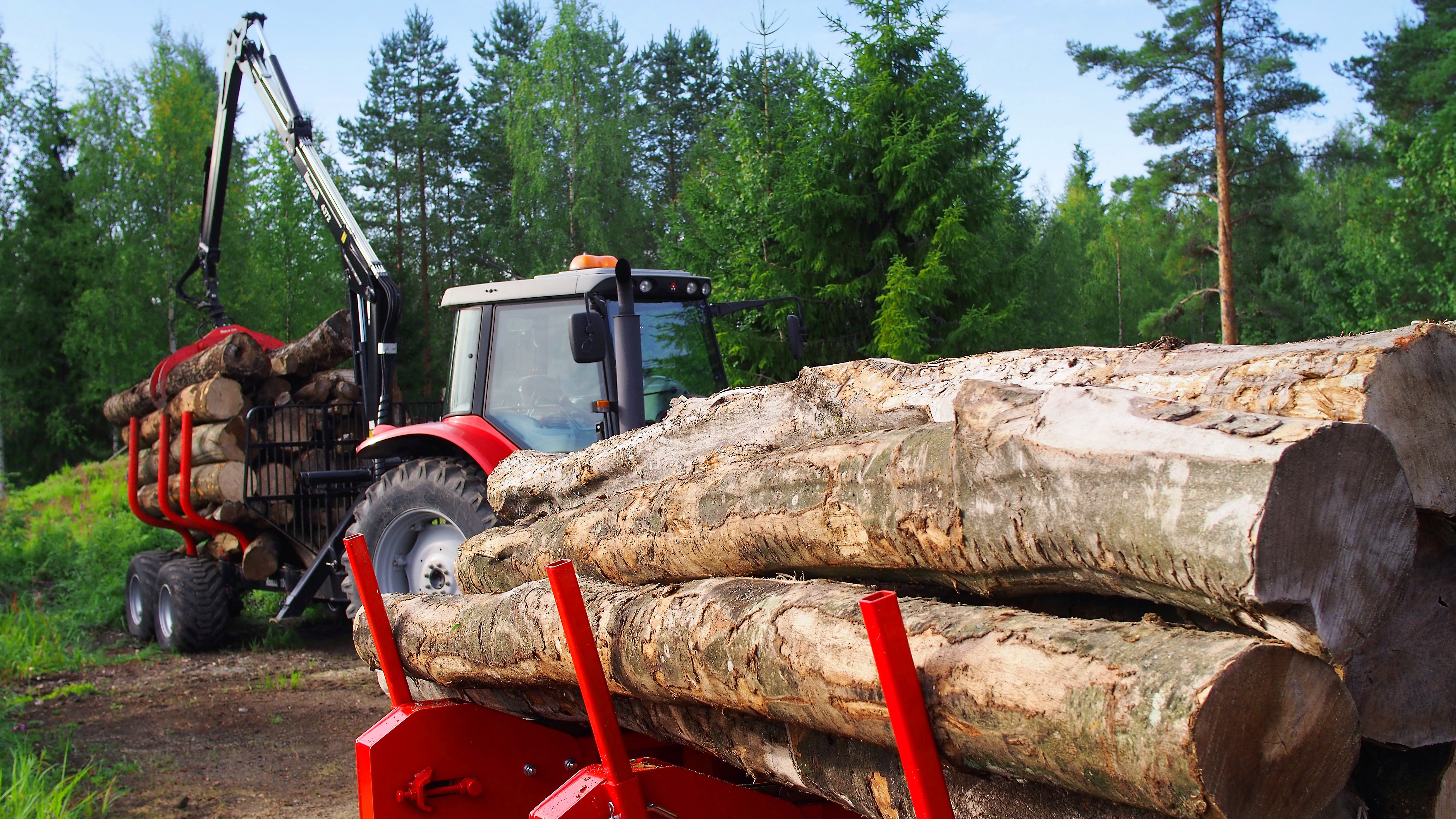 Moving logs in the nordic forest.