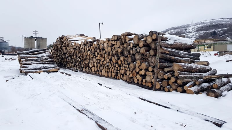 A typical firewood pile often requires some sorting.